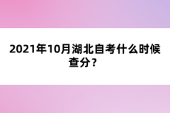 2021年10月湖北自考什么时候查分?