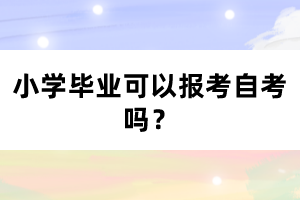 小学毕业可以报考自考吗?