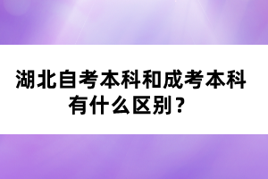 湖北自考本科和成考本科有什么区别？